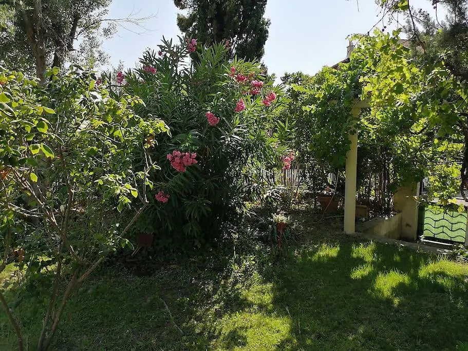 Villa Calme Grand Jardin Bord De Mer. Parking Marsiglia Francia